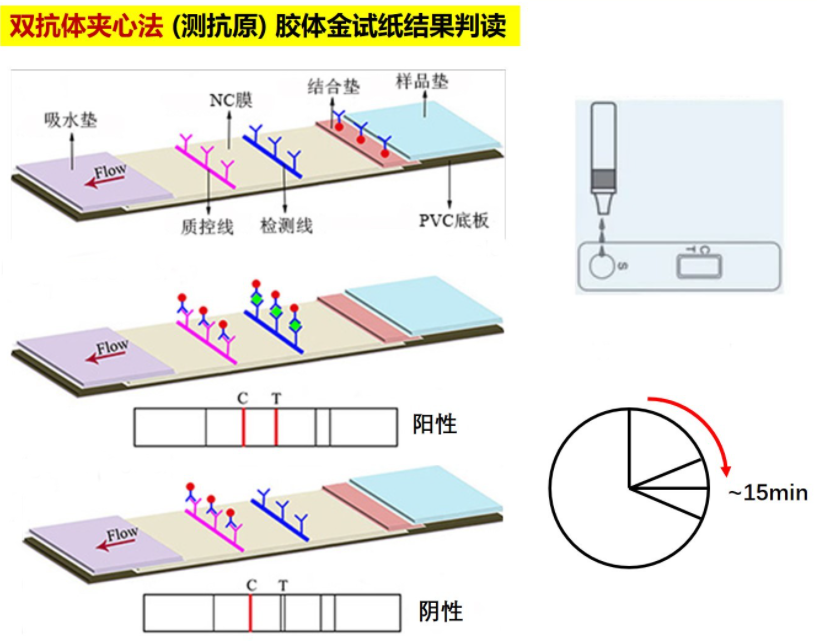 20221228-自来水为什么会被检测出“阳性”信号？-网络-检测试剂盒原理.png